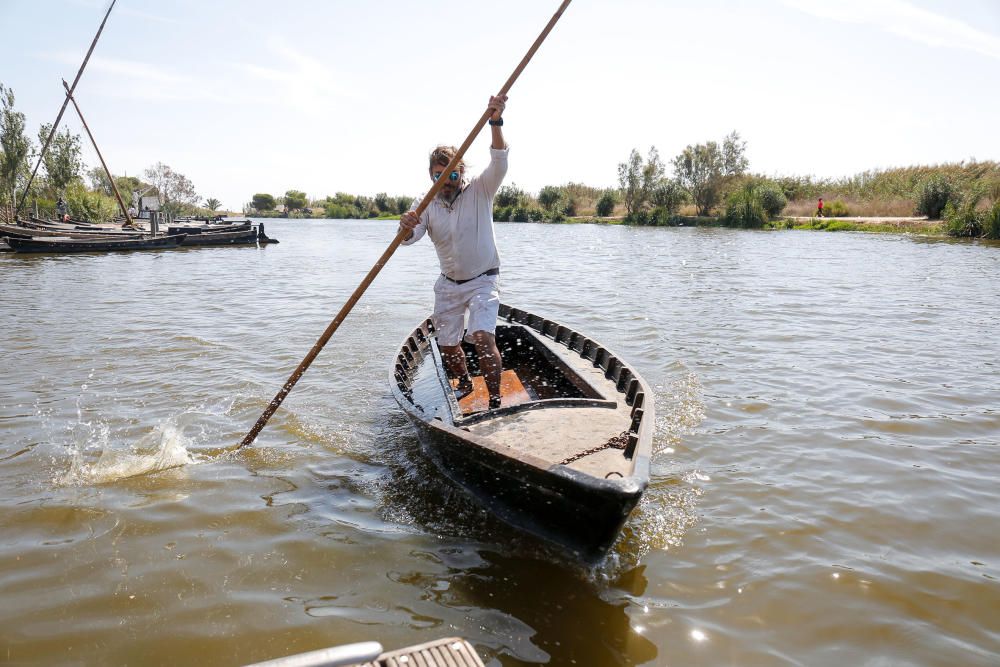 Siega y 'perxa' en l´Albufera