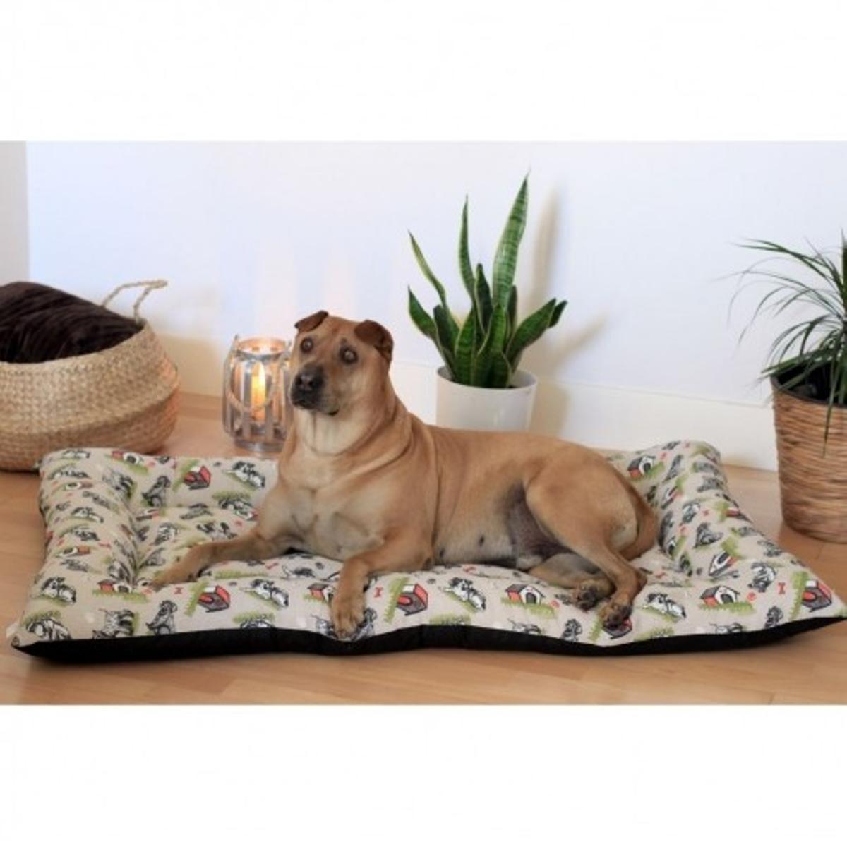 Camas para perros Carrefour | Una cama para perros grandes