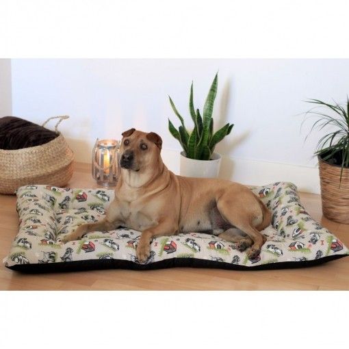 manguera pegamento Prestado Camas para perros | Las tres camas más vendidas en Carrefour: son cómodas y  bonitas