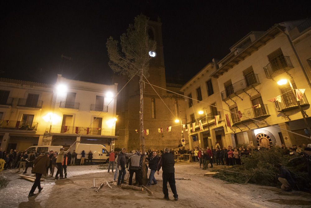 Sant Antoni arranca en Sagunt con la tradicional Plantà del Pi