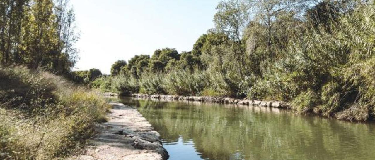 Uno de los tramos del barranco de Beniopa, entre la ciudad de Gandia y el Grau, donde se actuará para crear el corredor verde.                          levante-emv