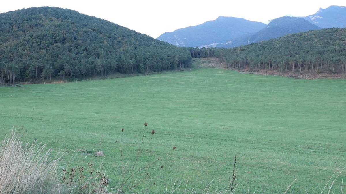 Pla de Clarà (a la Nou de Berguedà), lloc on es vol construir la central hidroelèctrica