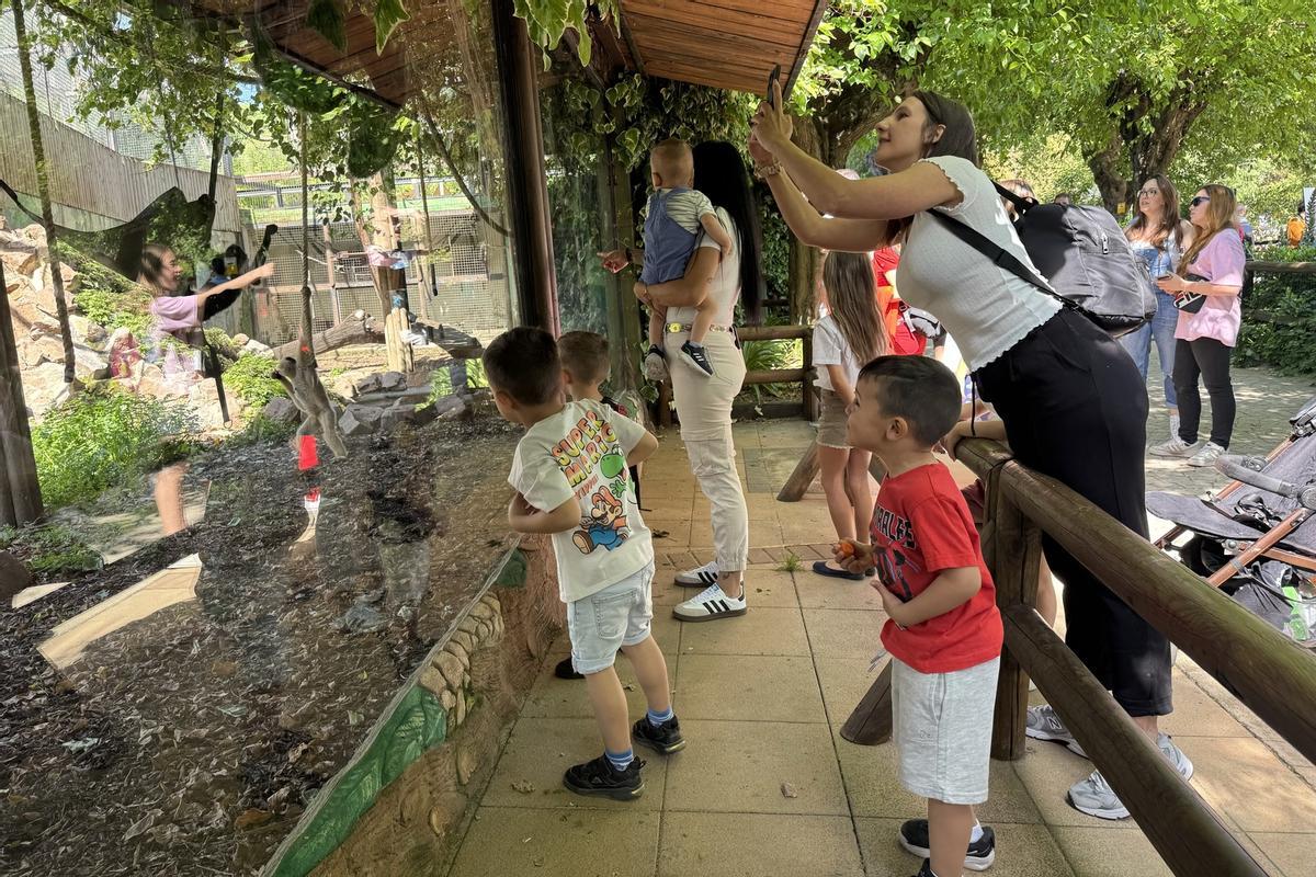 Día de puertas abiertas en el Zoo de Córdoba, en imágenes