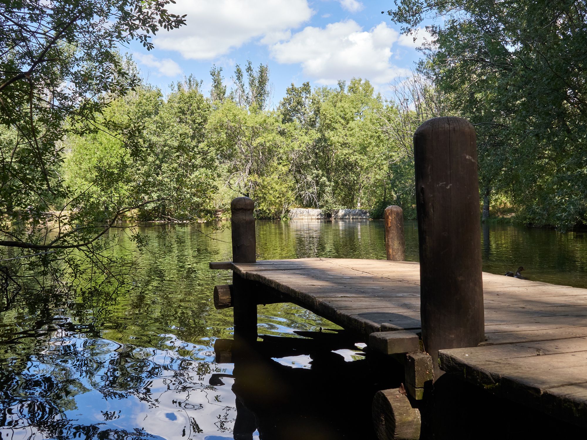 El muelle en el lago del bosque finlandés de Rascafría