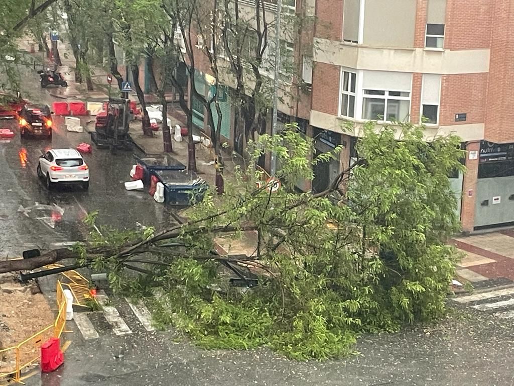 Una tromba de agua pilla por sorpresa a los murcianos.