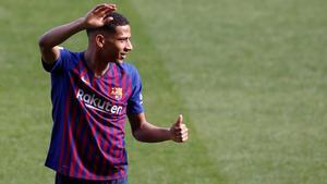todibo
