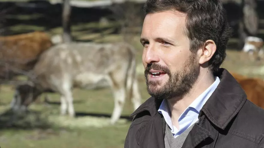 Casado visita una granja extensiva de vacuno para arremeter contra Garzón