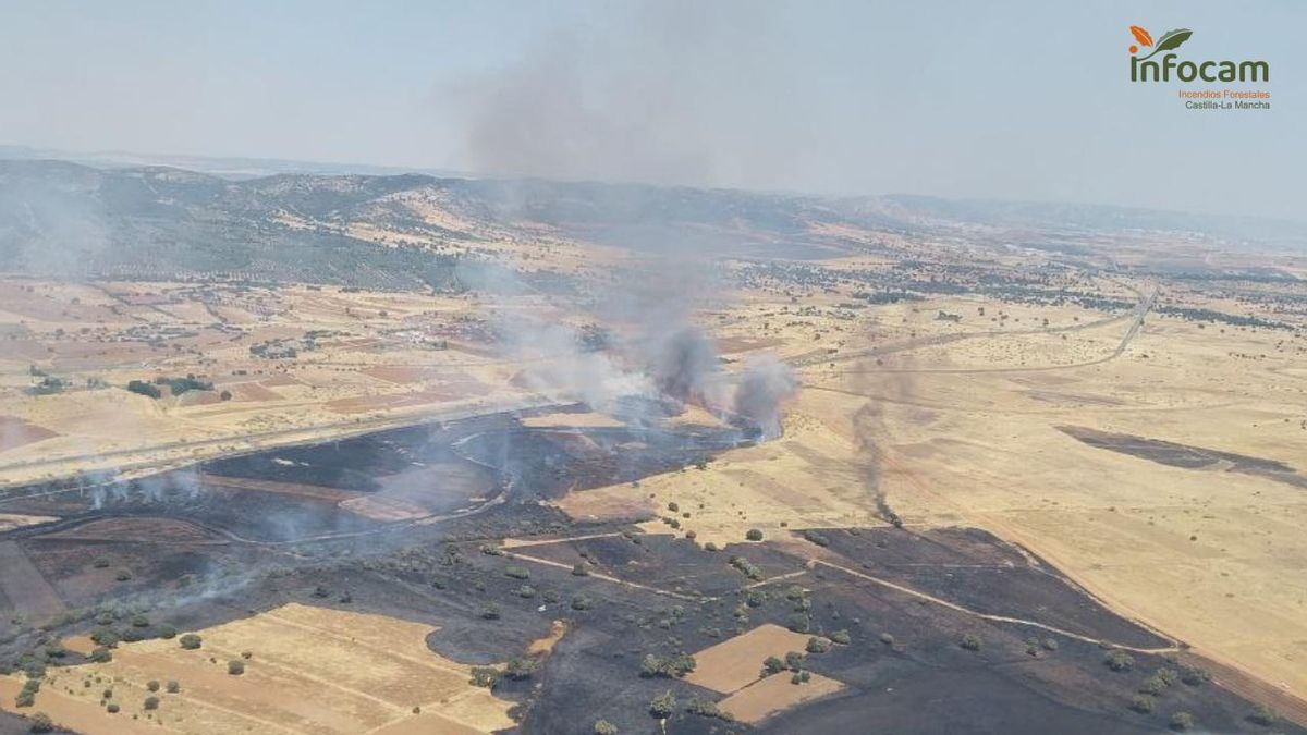 Zona afectada por el incendio forestael en Ciudad Real