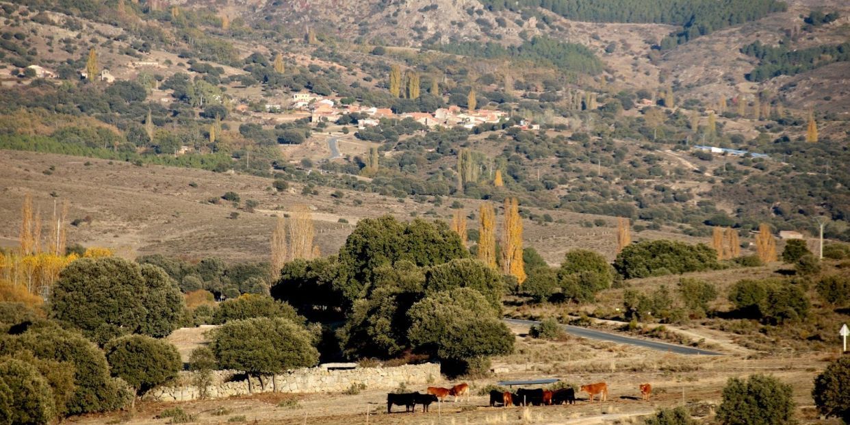 Imagen de Castilla y León.