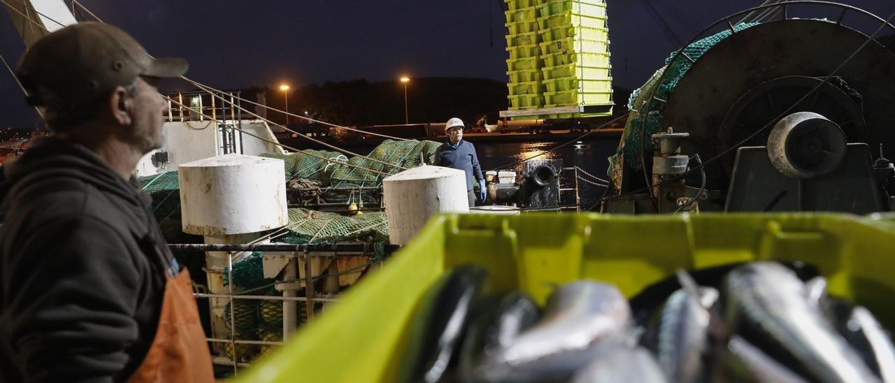 Descarga de pescado en la rula de Avilés