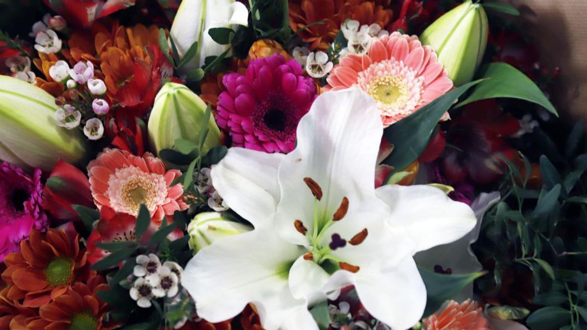 Flores.