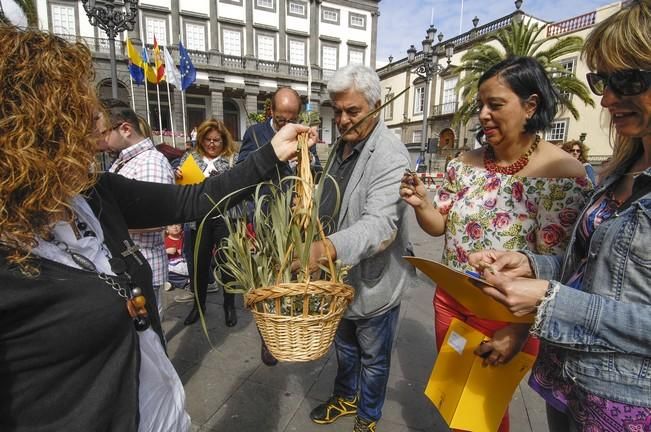 CONCURSO DE CRUCES DE MAYO