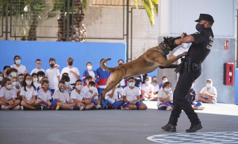 Presentación de la nueva cachorra del grupo de guías caninos de la Policía Local de Santa Cruz de Tenerife