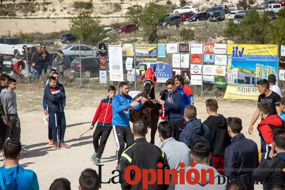 Carrera de entrenamiento de los Caballos del Vino