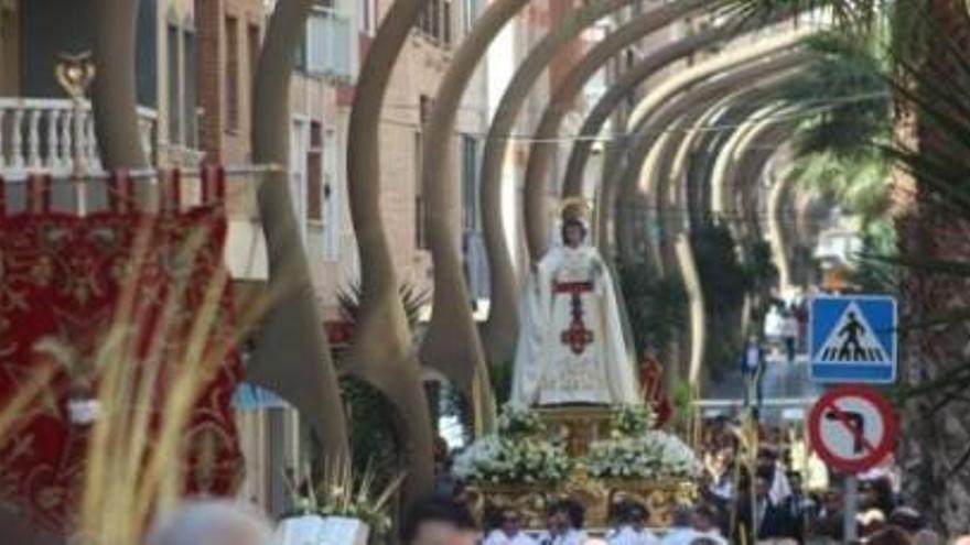 Blanco de palma  y verde de olivo en Torrevieja