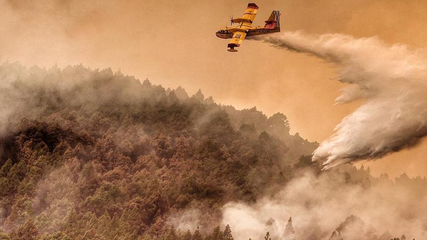 Seis bulos sobre los incendios que resurgen de las cenizas