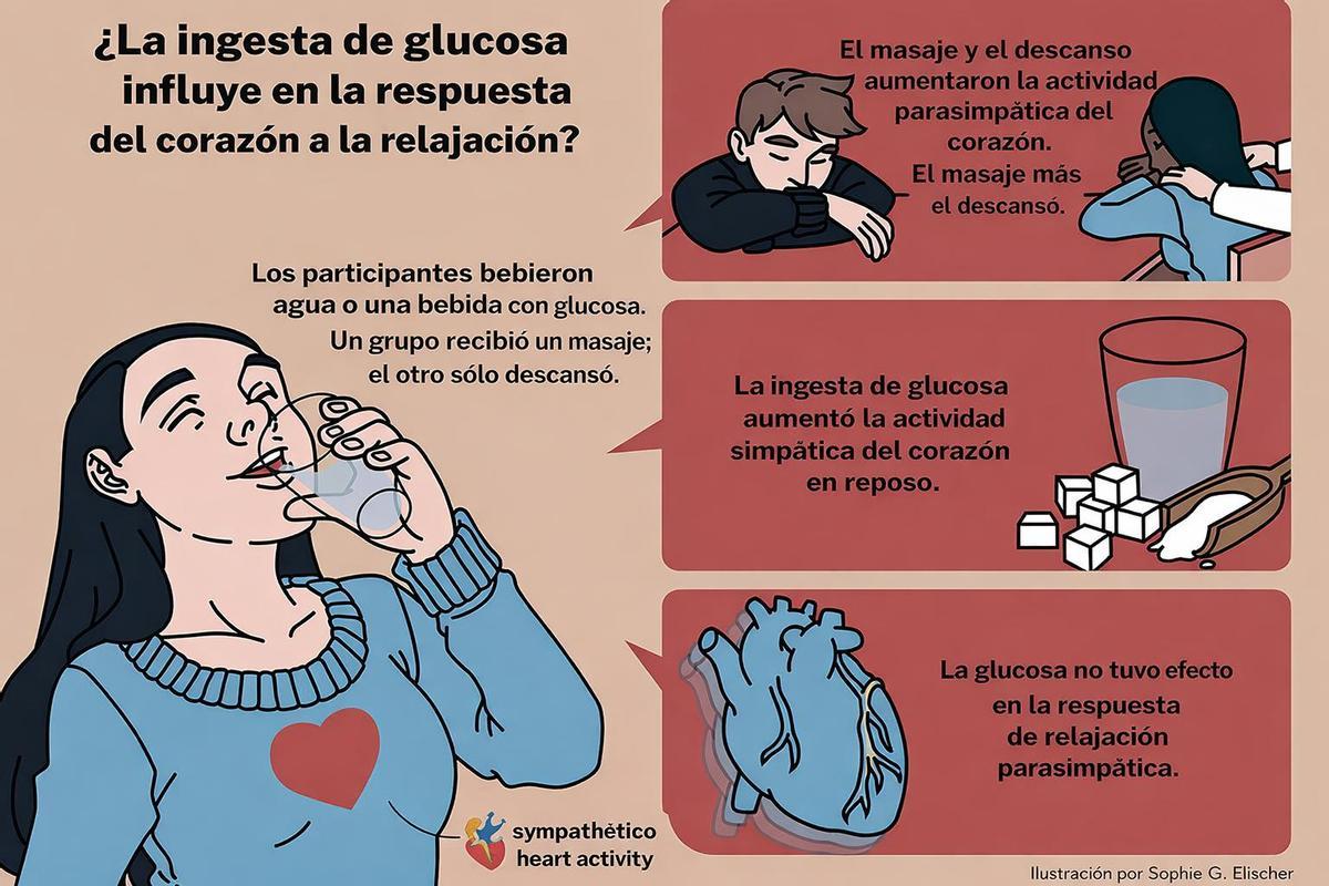 Esquema de lo que pasa cuando tomamos azúcar antes de un masaje relajante.