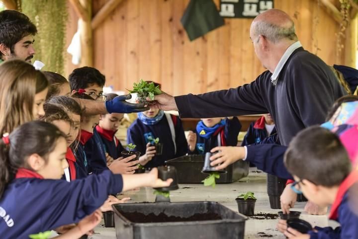 Visita escolar a la Granja Agricola del Cabildo