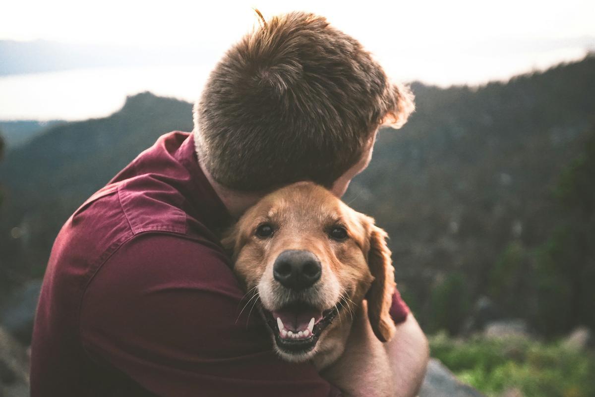 Los perros están conectados emocionalmente con sus dueños.