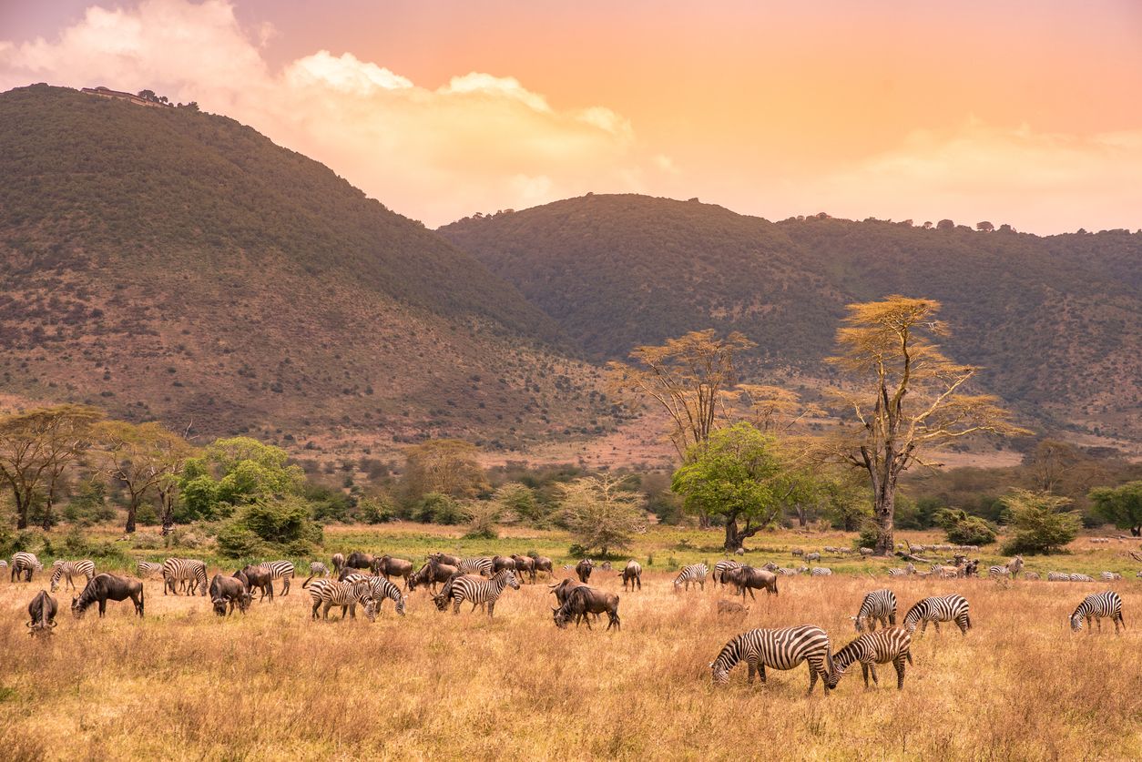 Naturaleza salvaje en Ngorogoro, Tanzania.