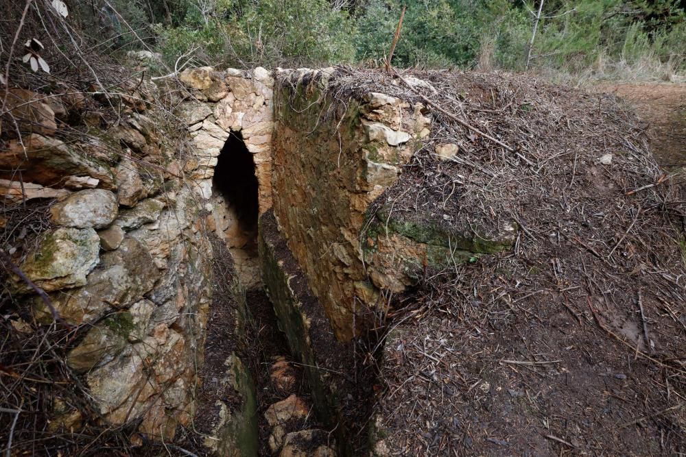 La fuente que alimentaba el canal de Fruitera y los huertos cercanos a Santa Gertrudis vuelve a estar a la vista