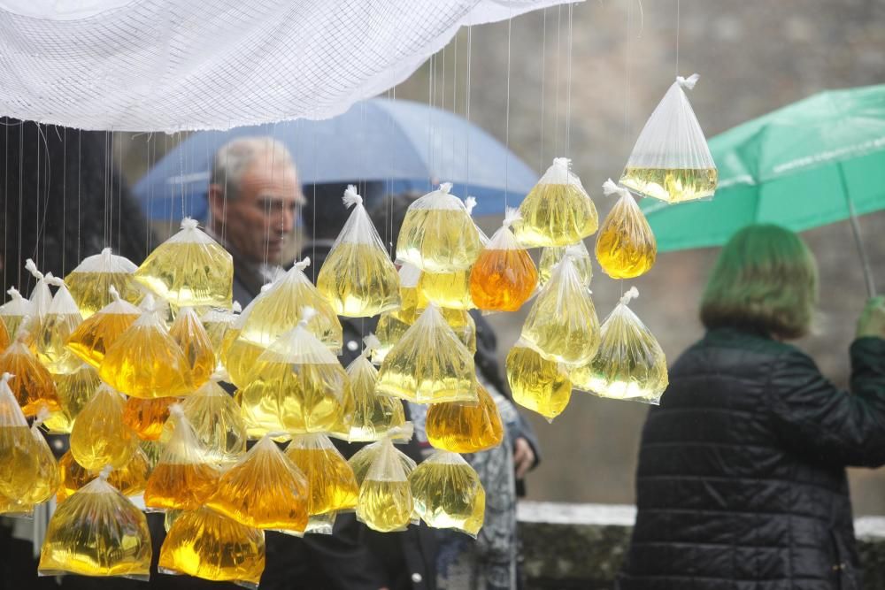 La pluja no desanima l'afluència de públic a «Temps de Flors»