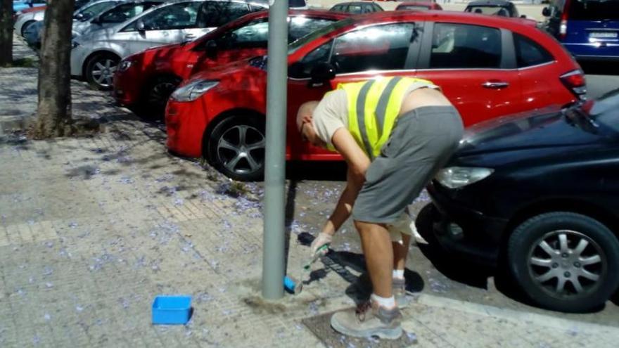 La edil de Limpieza pide a los vecinos que salgan con botellas de agua para limpiar los orines de sus perros