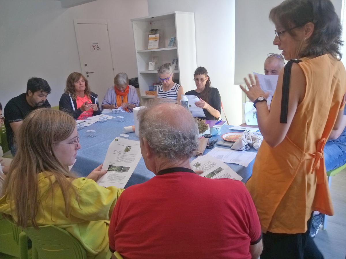 «L’hort és de totes» de Sallent celebra un taller per aprendre a preparar ungüents naturals