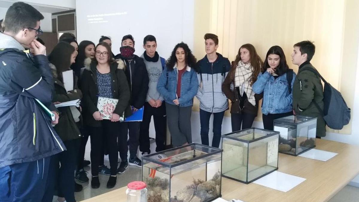 Un grup d’alumnes visitant el CEAB. | AJUNTAMENT DE BLANES