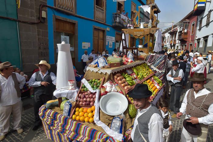 Carretas y grupos en la romería del Pino