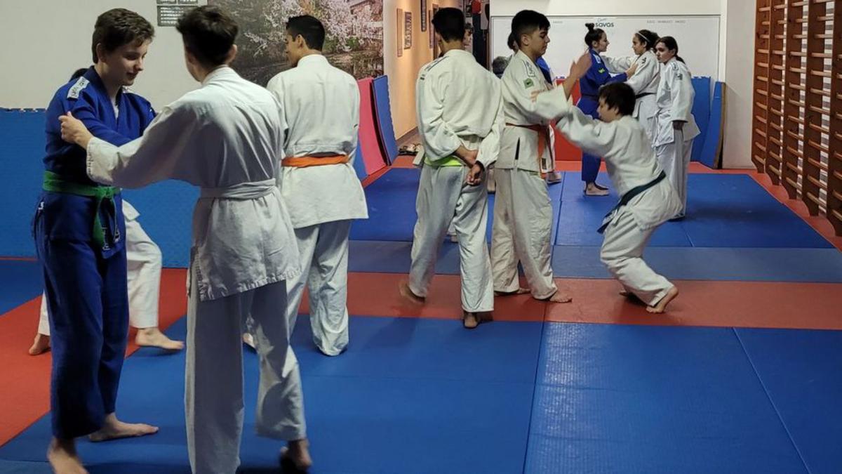 El judo es fonamenta en un treball de valors.  | GIMNÀS SAVAS