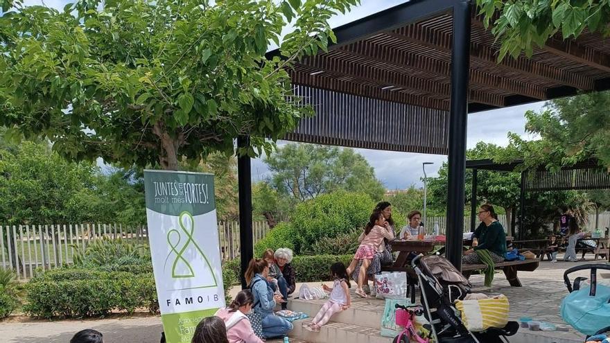 Las familias monoparentales reivindican igualdad de oportunidades en un picnic en Palma