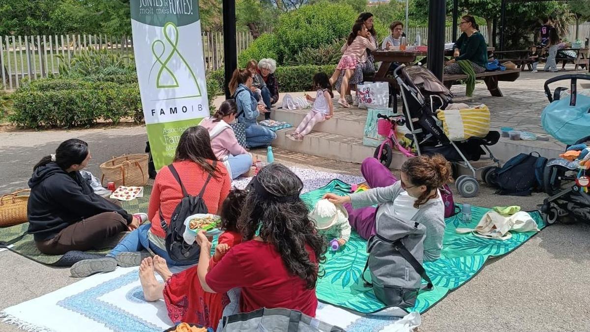 Imagen del picnic celebrado este domingo en Palma por FAMOIB.