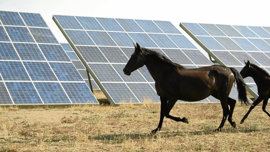 El recorte de primas a la fotovoltaica tiene en apuros a unas 5.000 familias