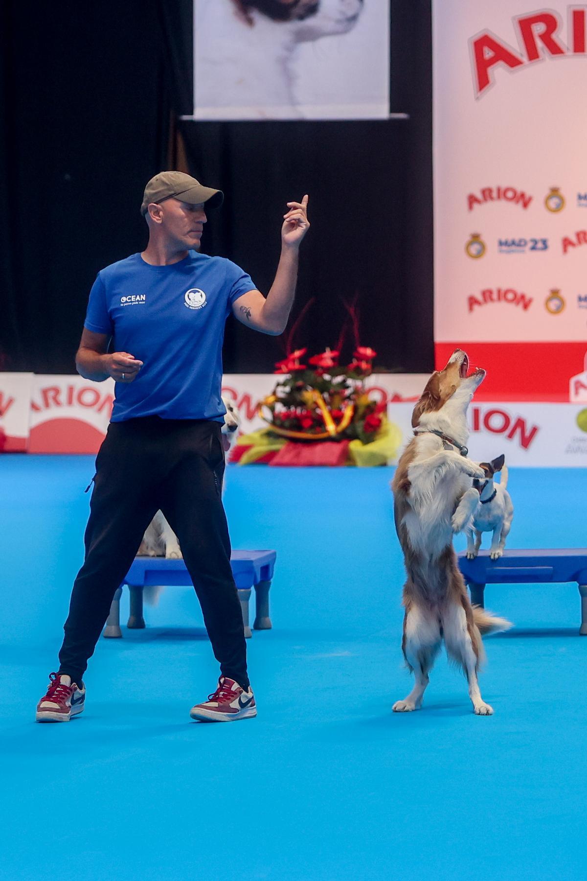 Mad Dog Show: fiebre por los perros en Madrid