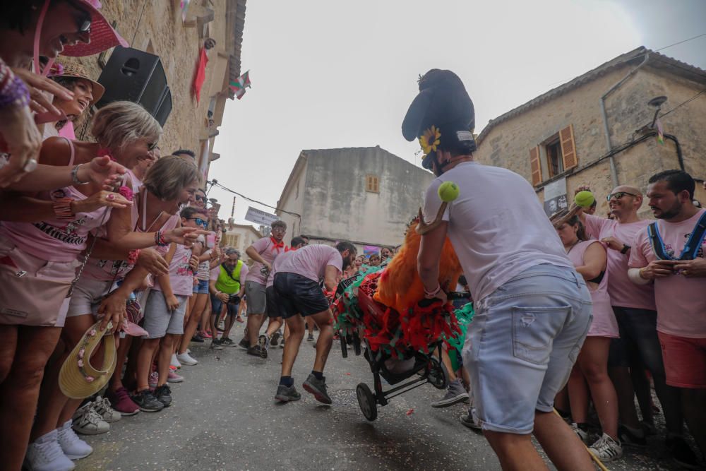 Mucada 2019: Sineu vive la fiesta del Much