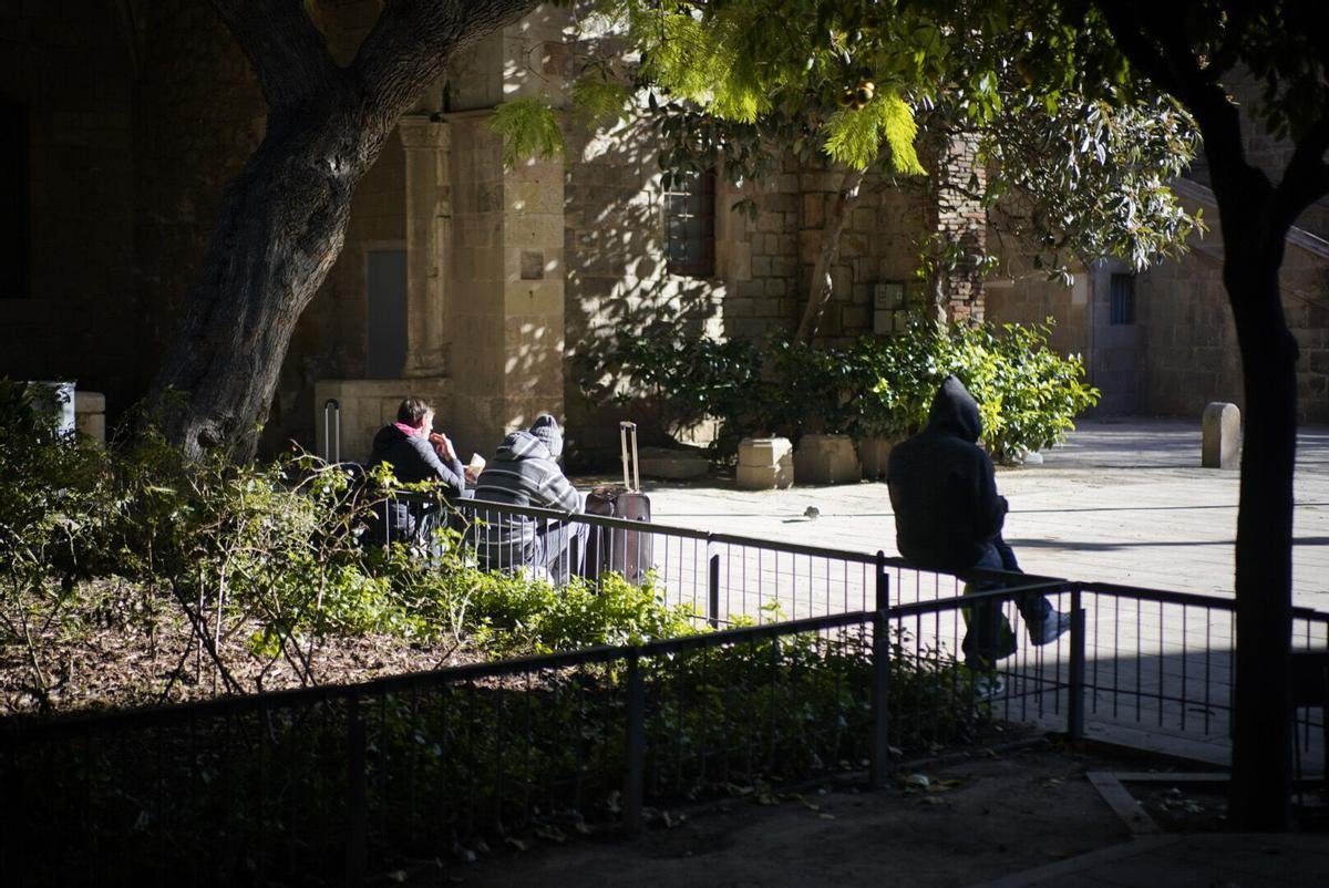 La Sindicatura alerta de la degradació "evident" dels jardins de l’històric Hospital de la Santa Creu de Barcelona