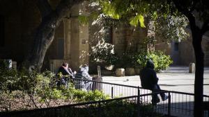 La Sindicatura alerta de la degradació "evident" dels jardins de l’històric Hospital de la Santa Creu de Barcelona