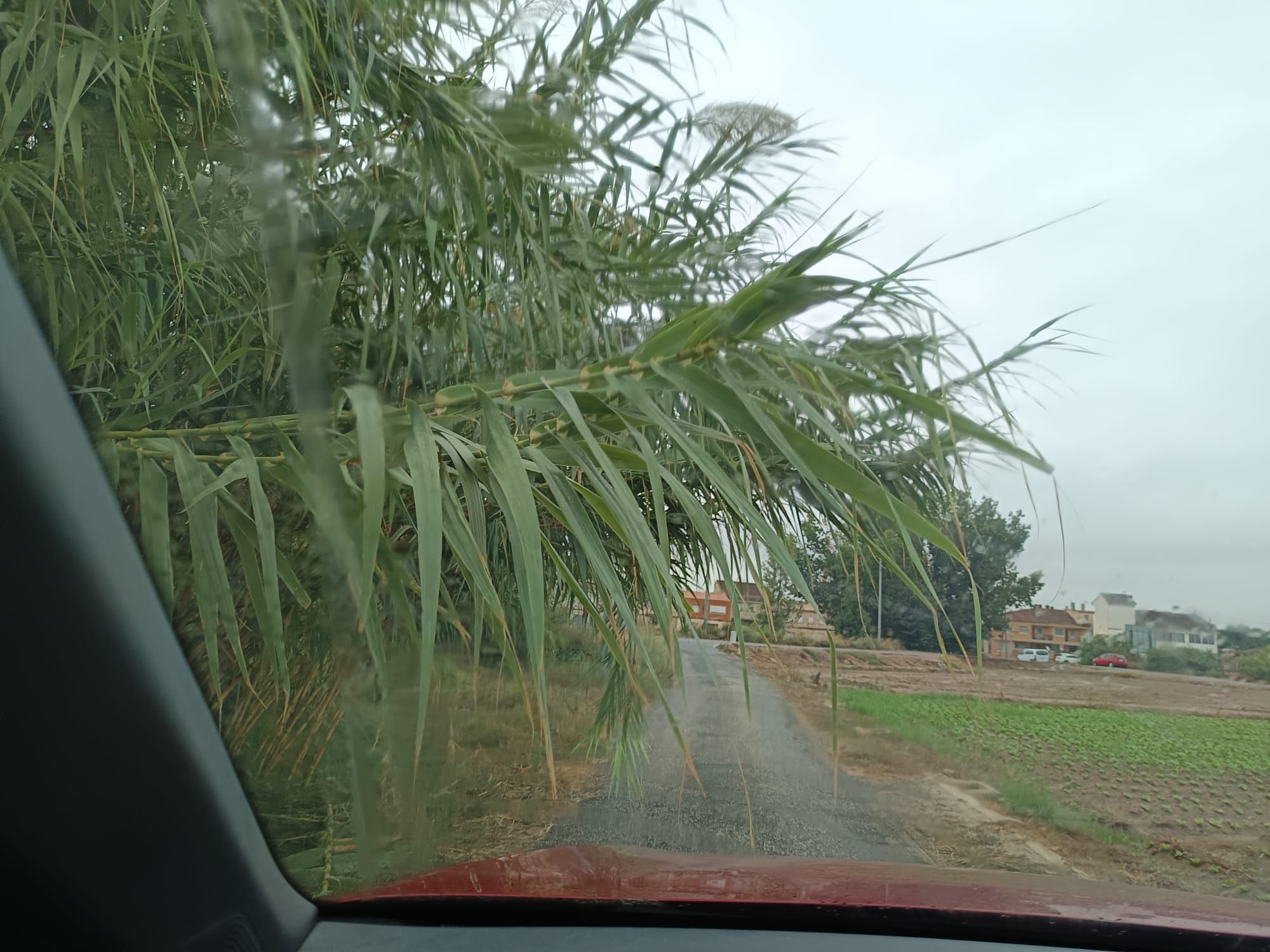 WhatsApp Image 2025-09-30 at 21.34.32 (2).jpeg