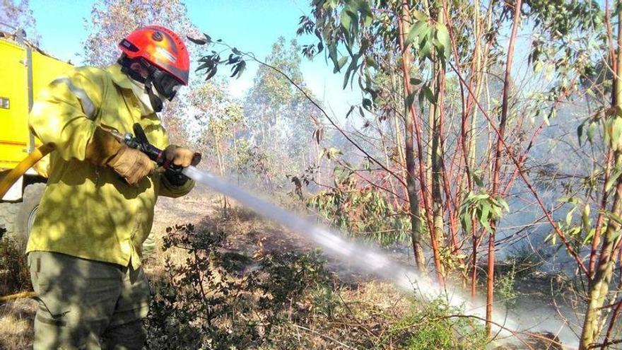 El Plan Infoex interviene en 19 incendios forestales que calcinan 146 hectáreas en la última semana