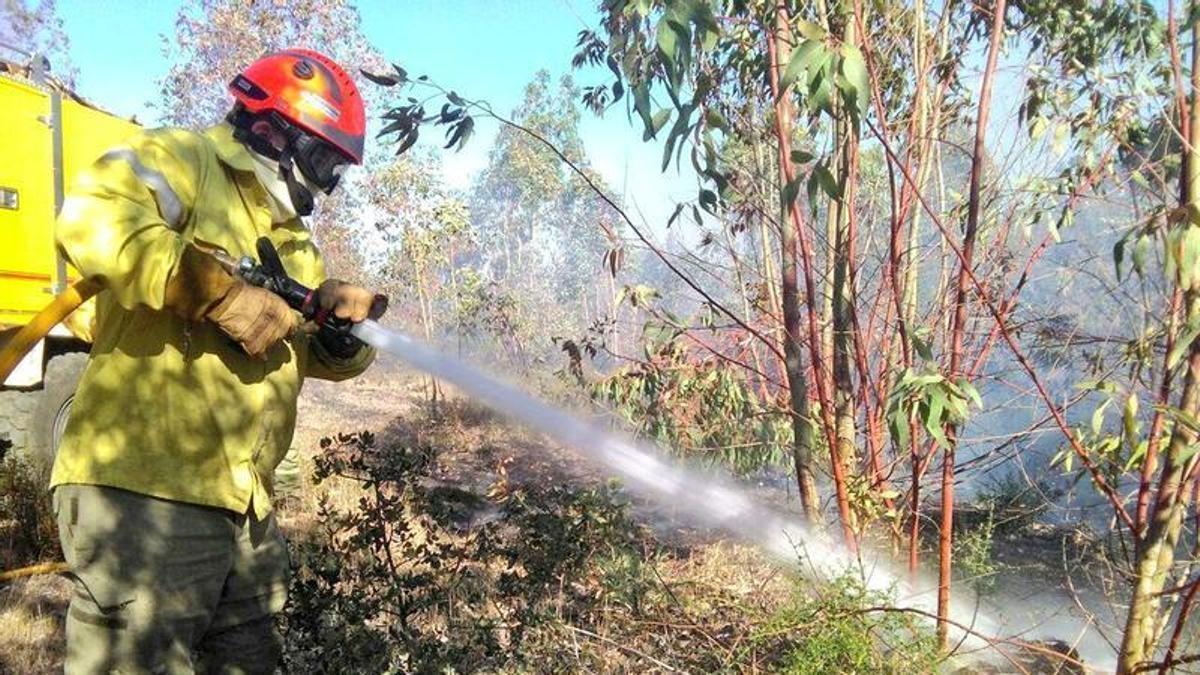 El Plan Infoex interviene en 19 incendios forestales que calcinan 146 hectáreas en la última semana