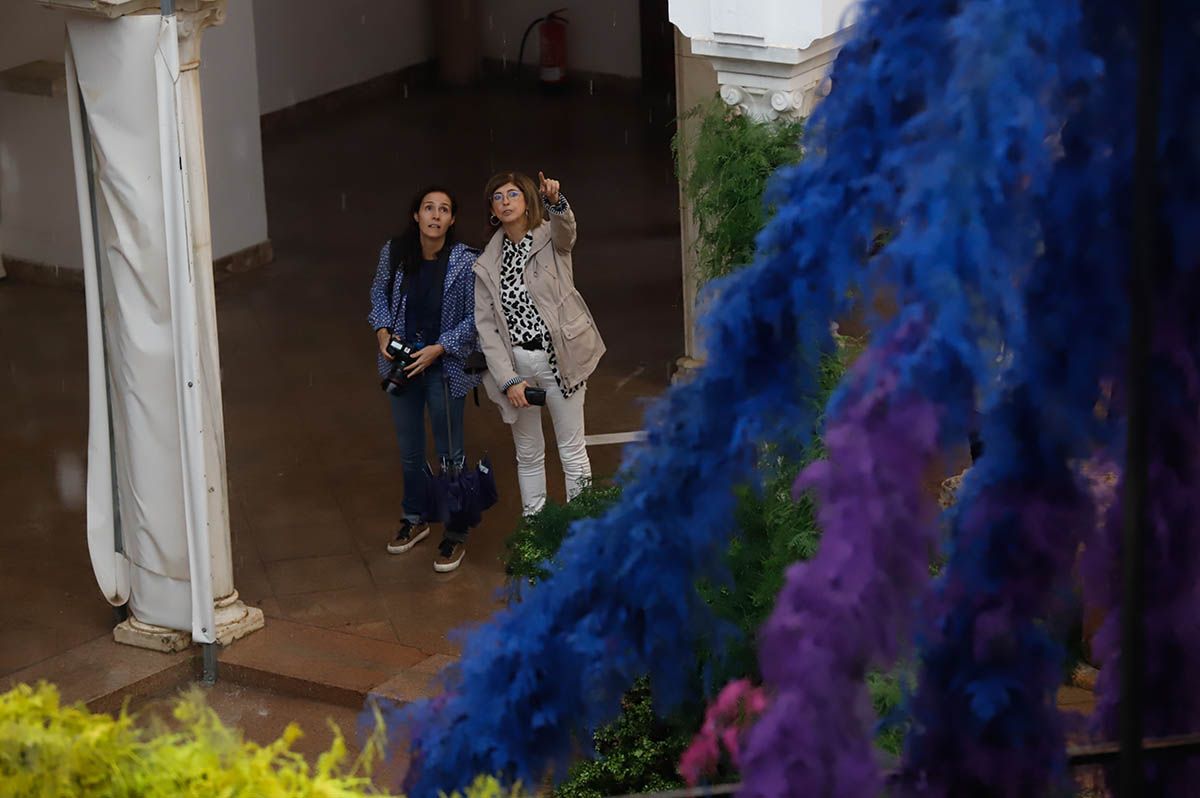 Córdoba Flora 2022 Maurice Harris Museo Arqueológico