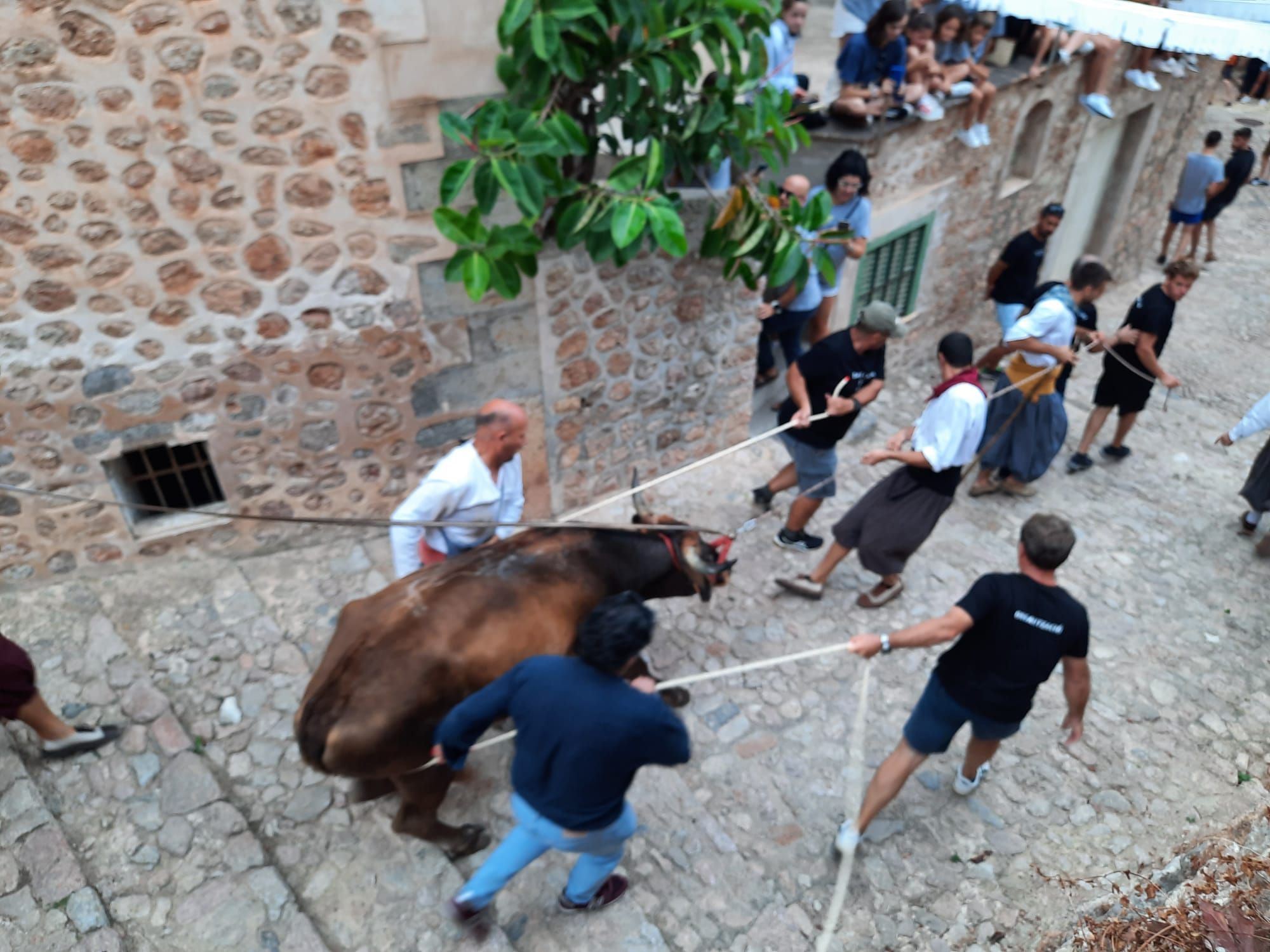 So sah es beim ersten Stierlauf in Fornalutx auf Mallorca nach Corona aus