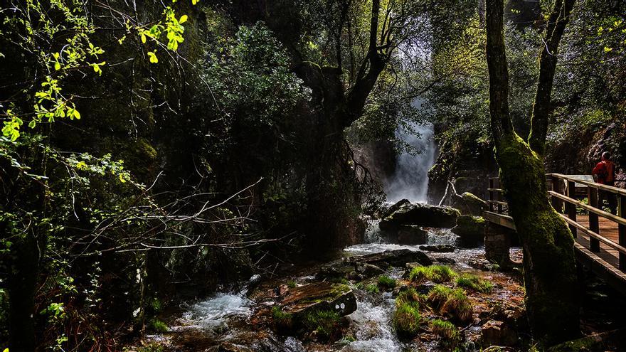 Exprime junio entre naturaleza en Castilla-La Mancha