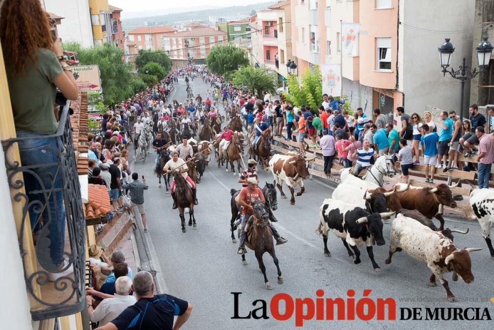 Último encierro en las Fiestas de Moratalla