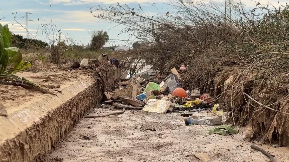 L'Albufera, llena de basura, vehículos y diferentes enseres tras la dana