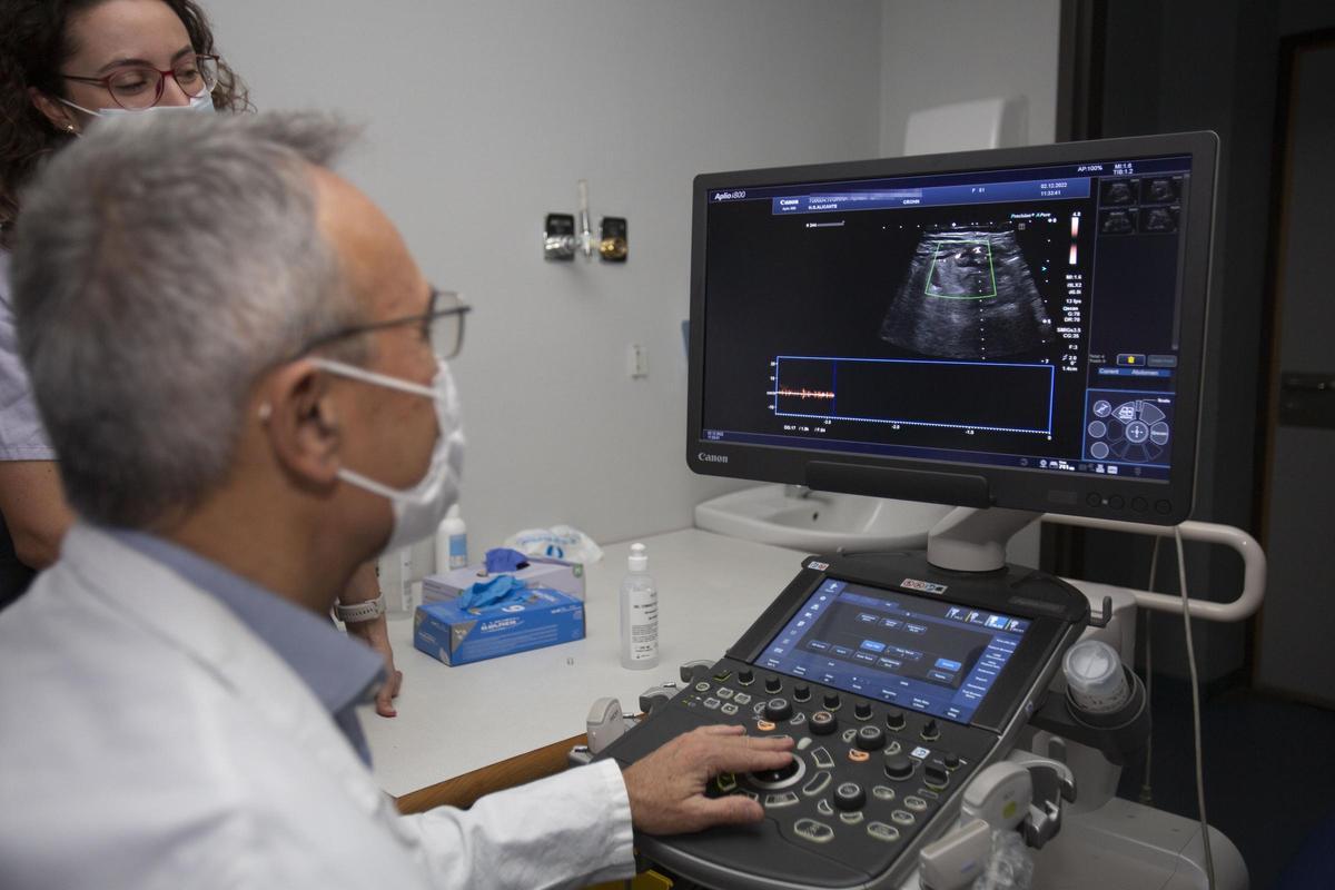 Un profesional del Hospital General de Alicante observa la imagen que recoge un ecógrafo, aparatos que Sanidad afirma que se van a generalizar en los centros de salud.