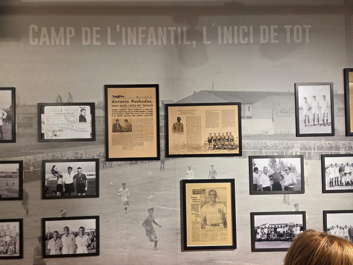 Fotografías y recortes de prensa que se exhiben en el local, con la figura de Puchades como eje central.