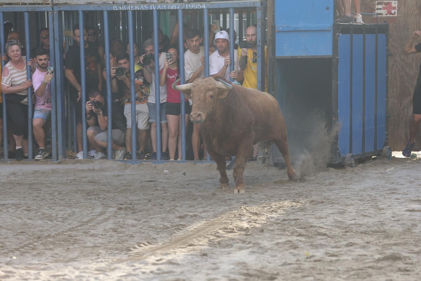 Galería | Intensa jornada taurina en Sant Pere 2025