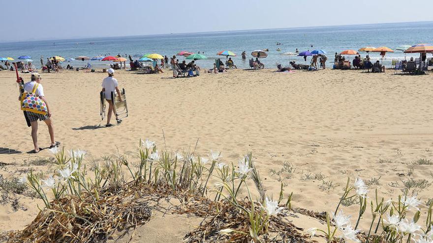 Playa de Arenales